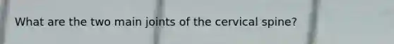 What are the two main joints of the cervical spine?