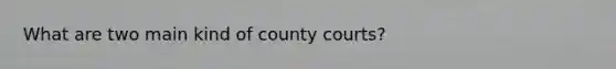 What are two main kind of county courts?