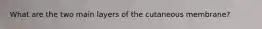 What are the two main layers of the cutaneous membrane?