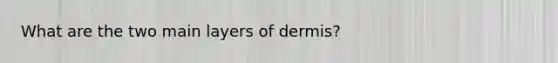 What are the two main layers of dermis?