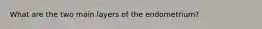 What are the two main layers of the endometrium?