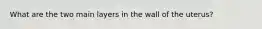 What are the two main layers in the wall of the uterus?