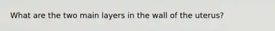 What are the two main layers in the wall of the uterus?