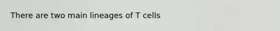 There are two main lineages of T cells