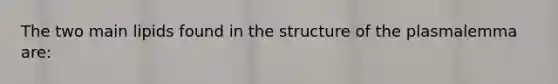 The two main lipids found in the structure of the plasmalemma are: