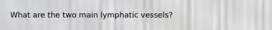 What are the two main lymphatic vessels?