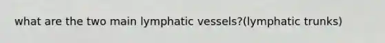 what are the two main lymphatic vessels?(lymphatic trunks)