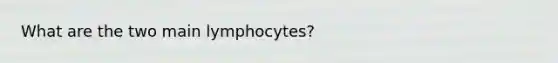 What are the two main lymphocytes?