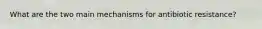 What are the two main mechanisms for antibiotic resistance?