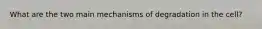 What are the two main mechanisms of degradation in the cell?