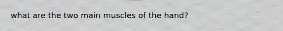 what are the two main muscles of the hand?