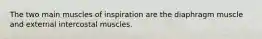 The two main muscles of inspiration are the diaphragm muscle and external intercostal muscles.