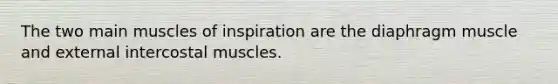 The two main muscles of inspiration are the diaphragm muscle and external intercostal muscles.