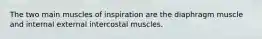 The two main muscles of inspiration are the diaphragm muscle and internal external intercostal muscles.