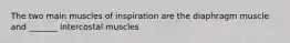 The two main muscles of inspiration are the diaphragm muscle and _______ intercostal muscles