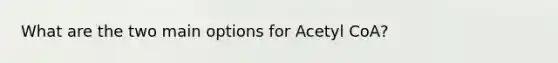 What are the two main options for Acetyl CoA?