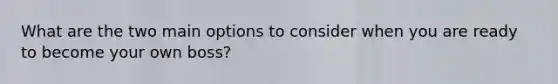 What are the two main options to consider when you are ready to become your own boss?