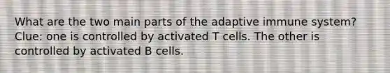 What are the two main parts of the adaptive immune system? Clue: one is controlled by activated T cells. The other is controlled by activated B cells.