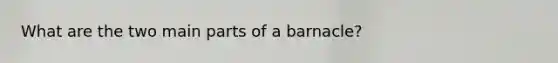 What are the two main parts of a barnacle?