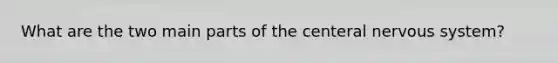 What are the two main parts of the centeral nervous system?