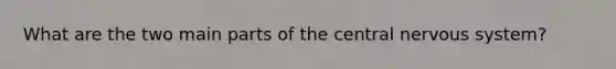 What are the two main parts of the central nervous system?