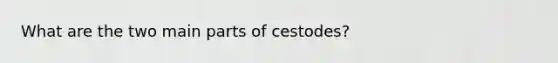 What are the two main parts of cestodes?