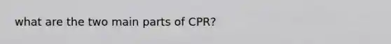 what are the two main parts of CPR?