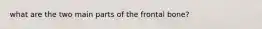 what are the two main parts of the frontal bone?
