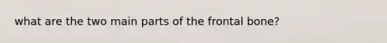 what are the two main parts of the frontal bone?