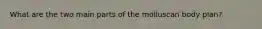 What are the two main parts of the molluscan body plan?