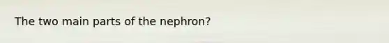 The two main parts of the nephron?