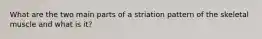 What are the two main parts of a striation pattern of the skeletal muscle and what is it?