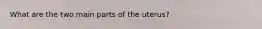 What are the two main parts of the uterus?