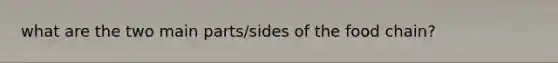 what are the two main parts/sides of the food chain?