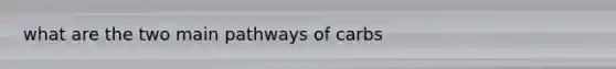 what are the two main pathways of carbs