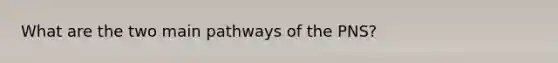 What are the two main pathways of the PNS?