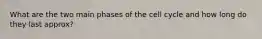 What are the two main phases of the cell cycle and how long do they last approx?