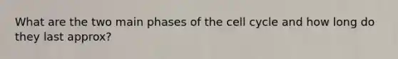 What are the two main phases of the cell cycle and how long do they last approx?