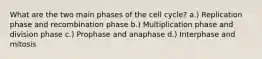 What are the two main phases of the cell cycle? a.) Replication phase and recombination phase b.) Multiplication phase and division phase c.) Prophase and anaphase d.) Interphase and mitosis