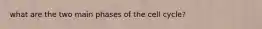 what are the two main phases of the cell cycle?