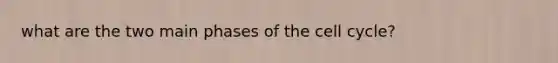 what are the two main phases of the cell cycle?