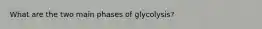 What are the two main phases of glycolysis?