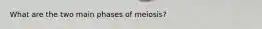 What are the two main phases of meiosis?