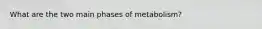 What are the two main phases of metabolism?