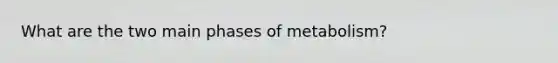 What are the two main phases of metabolism?