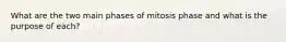 What are the two main phases of mitosis phase and what is the purpose of each?