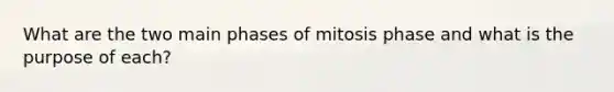 What are the two main phases of mitosis phase and what is the purpose of each?