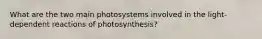 What are the two main photosystems involved in the light-dependent reactions of photosynthesis?