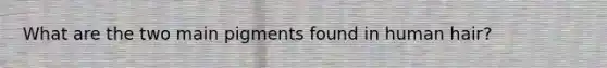 What are the two main pigments found in human hair?