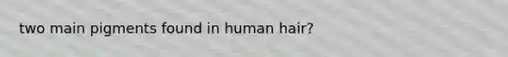 two main pigments found in human hair?